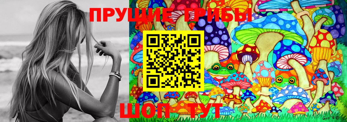 Фрязино  Псилоцибиновые грибы ЛСД  Вход с VPN 